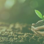 Buying a fertilizer and agro product billing software